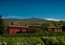 Terrazze dell'Etna
