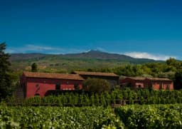 Terrazze dell'Etna