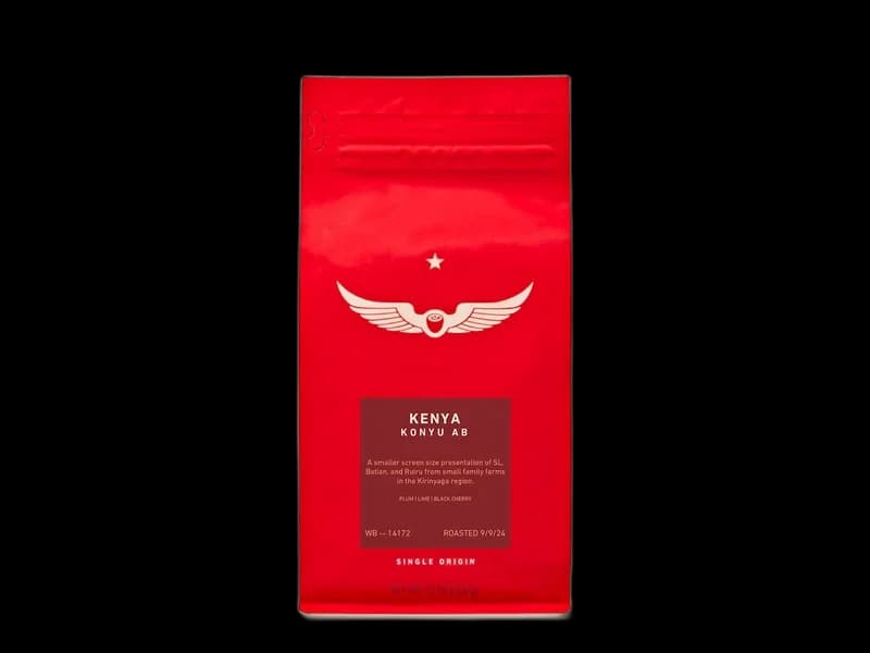 Intelligentsia Kenya