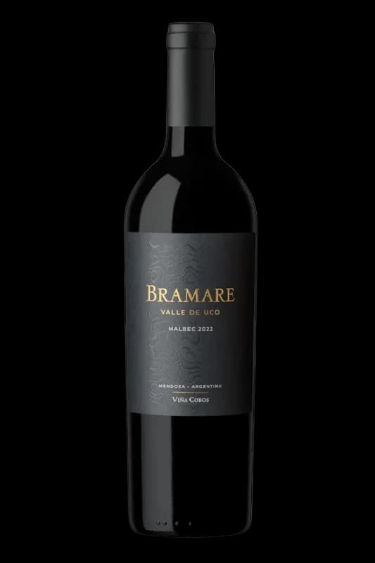 Bramare Valle De Uco Malbec