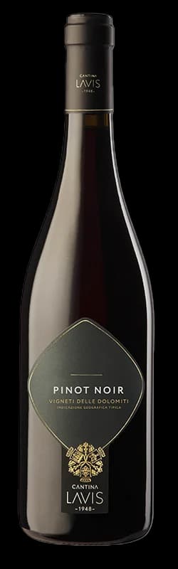 Pinot Noir Vigneti delle Dolomiti