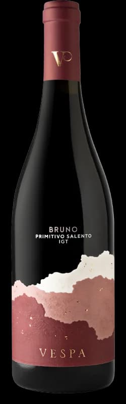 Il Bruno dei Vespa