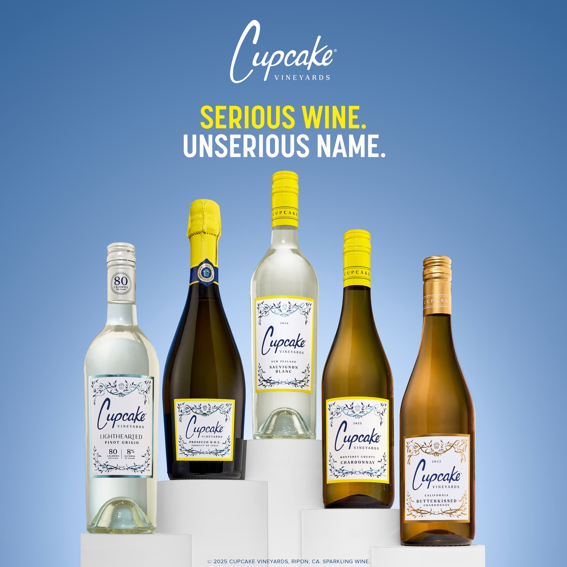 Wine Group Family Shot - Our Top Picks Made Simple