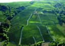 Mirafiore