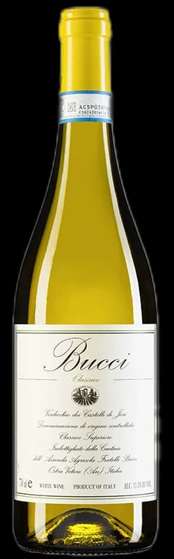 Bucci Classico